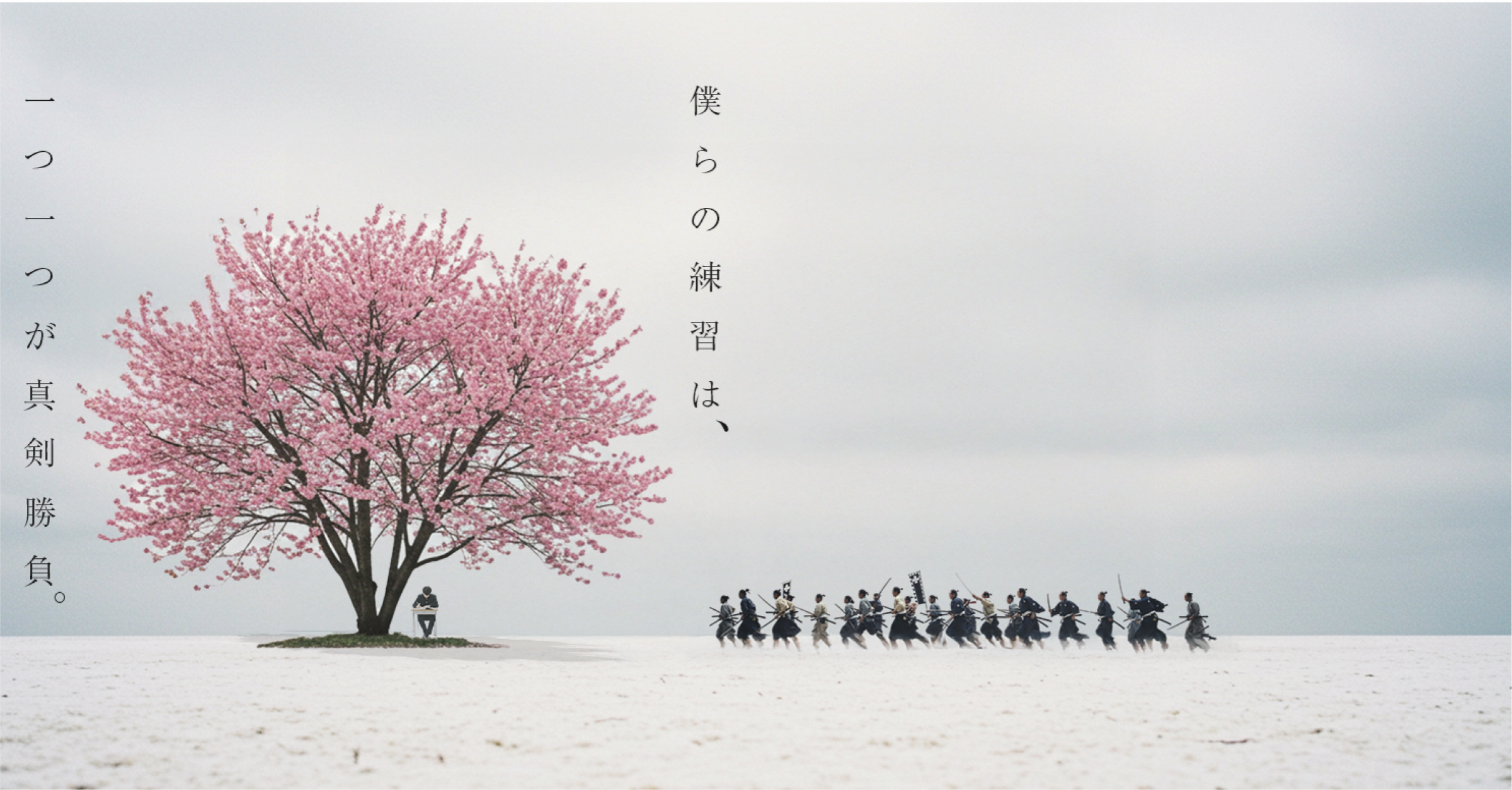 Sakura Samurai